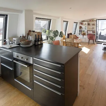 Design Apt With Terrace In The Marais Paris